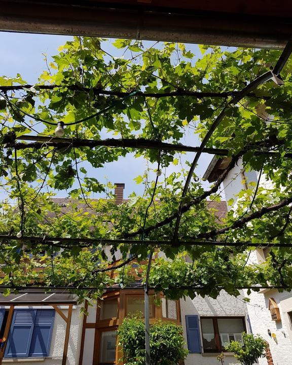 Weinstube im Winzerhof Hey